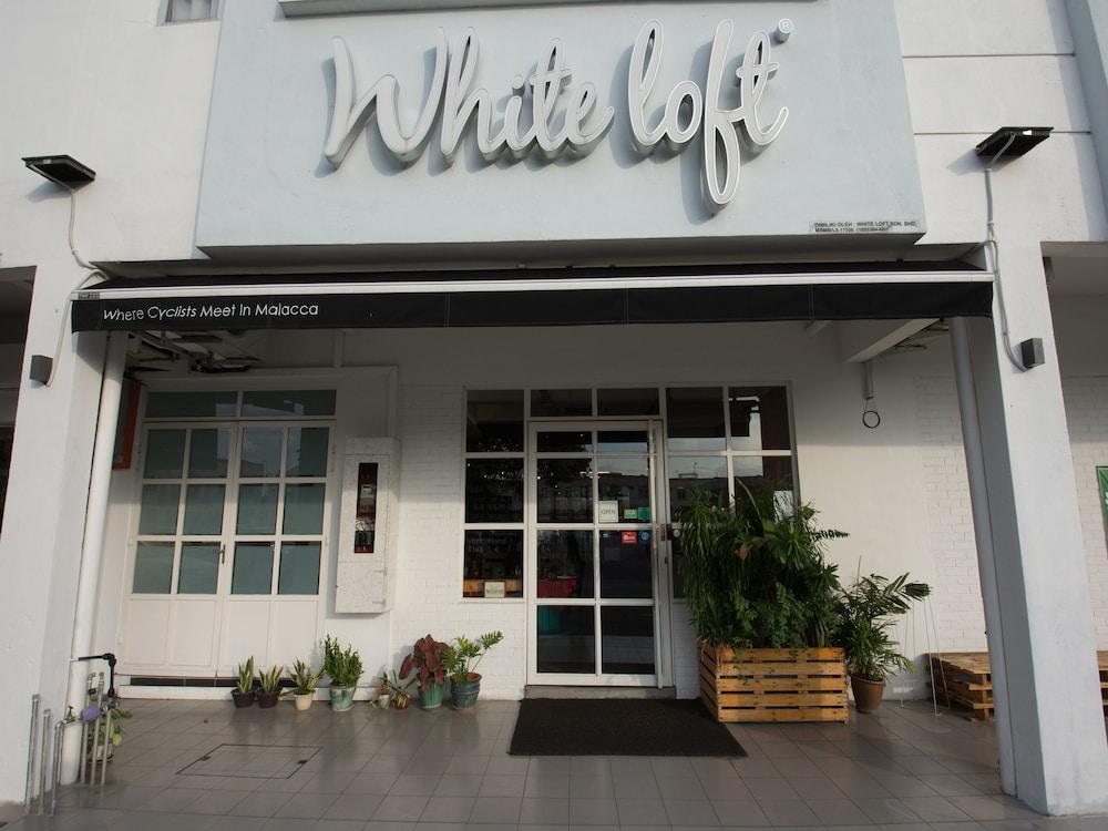 Hotel White Loft