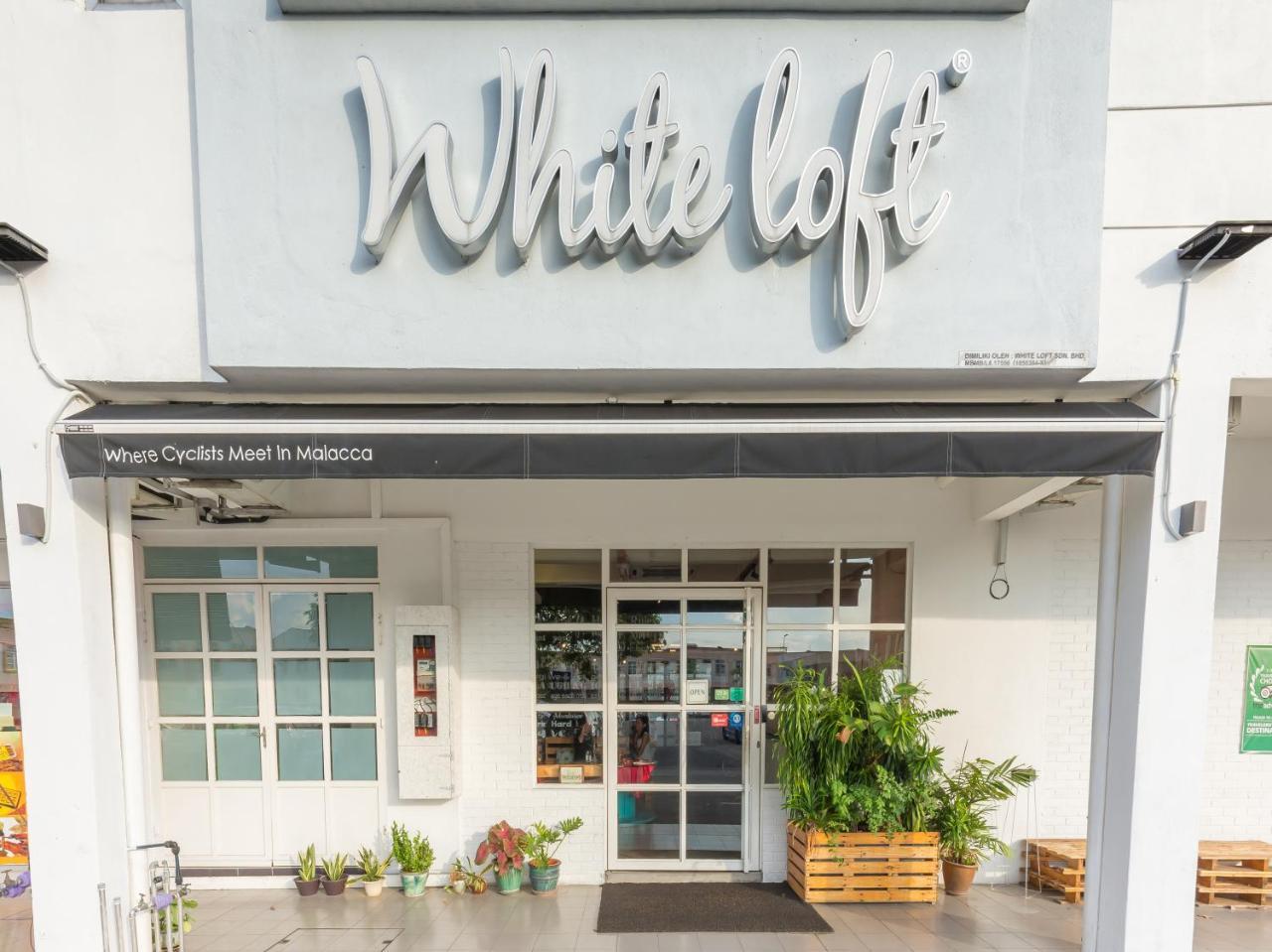 White Loft 2*